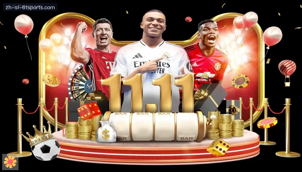 6T体育 banner